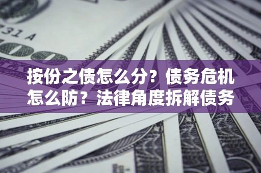 武汉按份之债怎么分？债务危机怎么防？法律角度拆解债务分配与风险自保指南