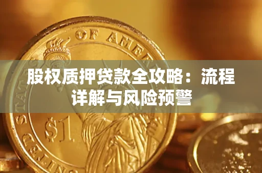 武汉股权质押贷款全攻略：流程详解与风险预警