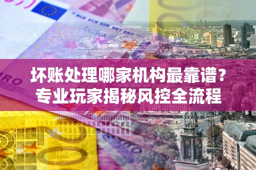 武汉坏账处理哪家机构最靠谱？专业玩家揭秘风控全流程