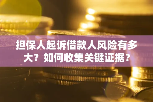 武汉担保人起诉借款人风险有多大？如何收集关键证据？