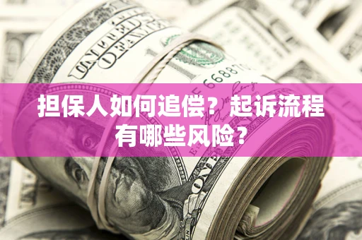 武汉担保人如何追偿？起诉流程有哪些风险？