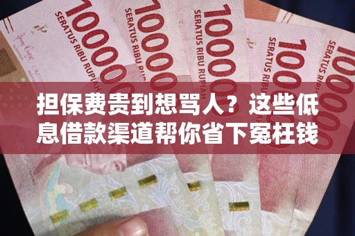 武汉担保费贵到想骂人？这些低息借款渠道帮你省下冤枉钱
