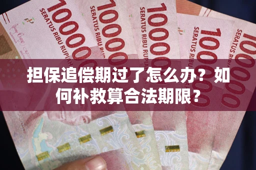 武汉担保追偿期过了怎么办？如何补救算合法期限？