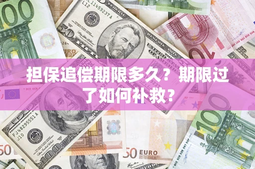 武汉担保追偿期限多久？期限过了如何补救？