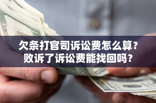武汉欠条打官司诉讼费怎么算？败诉了诉讼费能找回吗？