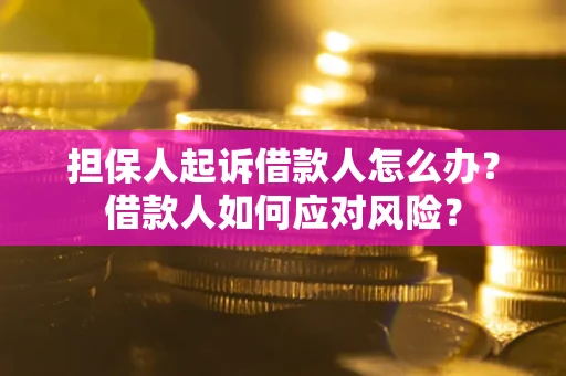 武汉担保人起诉借款人怎么办？借款人如何应对风险？