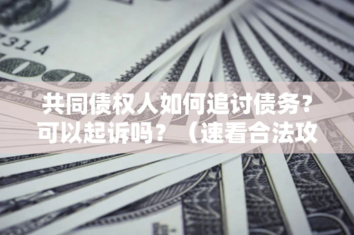 武汉共同债权人如何追讨债务？可以起诉吗？（速看合法攻略）