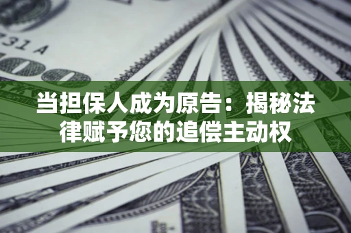 武汉当担保人成为原告：揭秘法律赋予您的追偿主动权