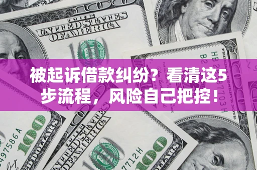 武汉被起诉借款纠纷？看清这5步流程，风险自己把控！