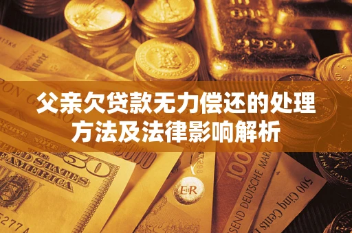 武汉父亲欠贷款无力偿还的处理方法及法律影响解析