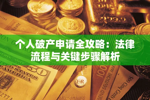 武汉个人破产申请全攻略：法律流程与关键步骤解析